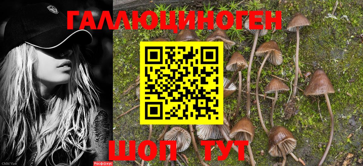 Псилоцибиновые грибы мицелий  Вход с VPN  Воронеж 